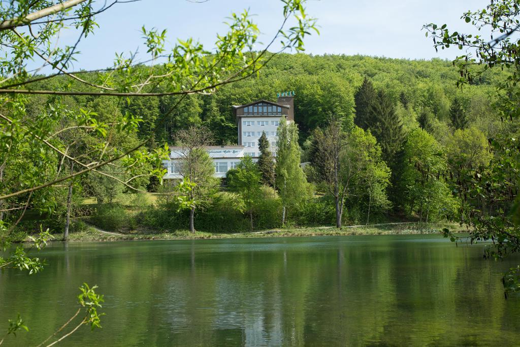 Hotel Reifenstein Kleinbartloff Bagian luar foto